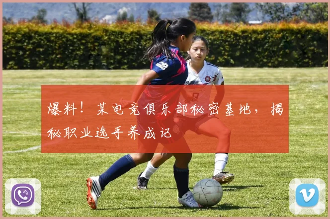 爆料!某电竞俱乐部秘密基地,揭秘职业选手养成记
